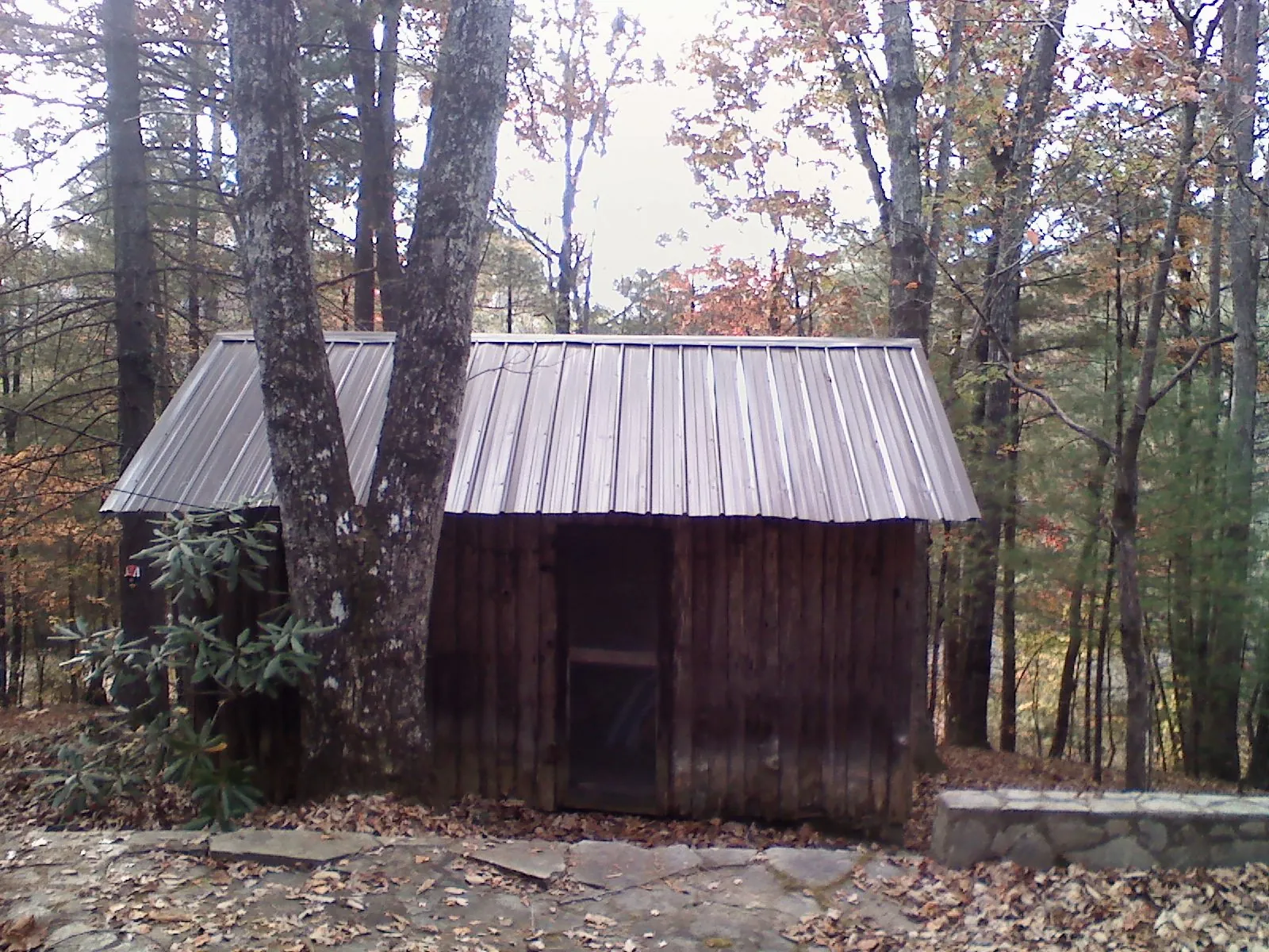 New metal gable roof on a small log shed among the trees in Bear Lake